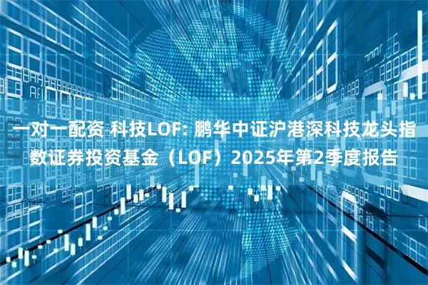 一对一配资 科技LOF: 鹏华中证沪港深科技龙头指数证券投资基金（LOF）2025年第2季度报告