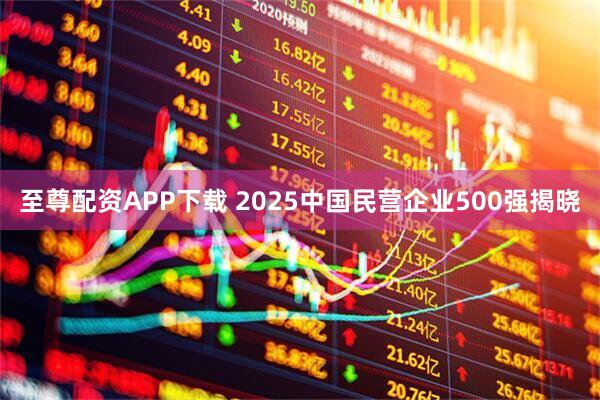 至尊配资APP下载 2025中国民营企业500强揭晓